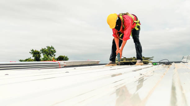 Best Storm Damage Roof Repair  in Okawvle, IL